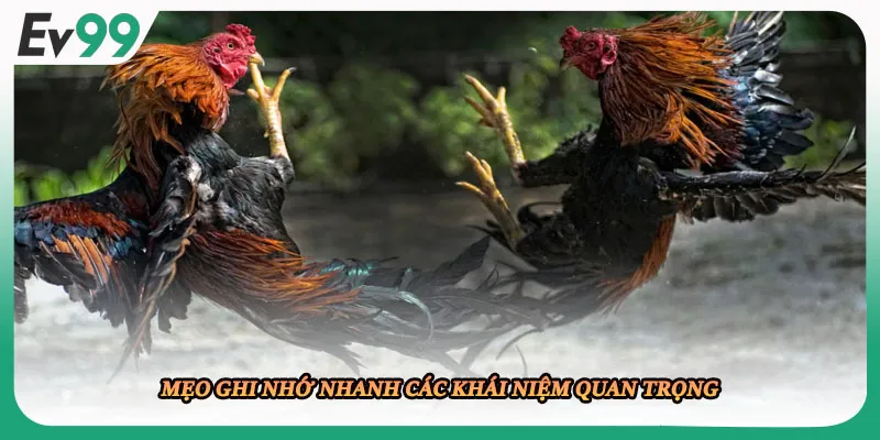 Mẹo ghi nhớ nhanh các khái niệm quan trọng